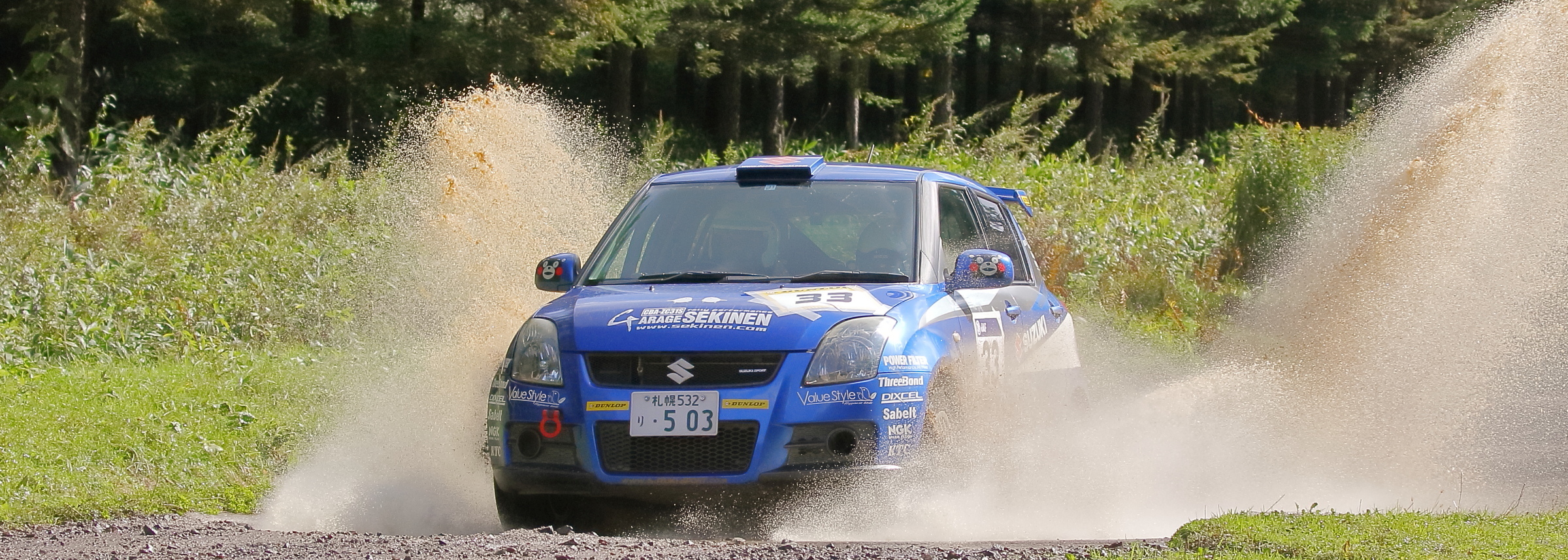 Rally Team Cancer